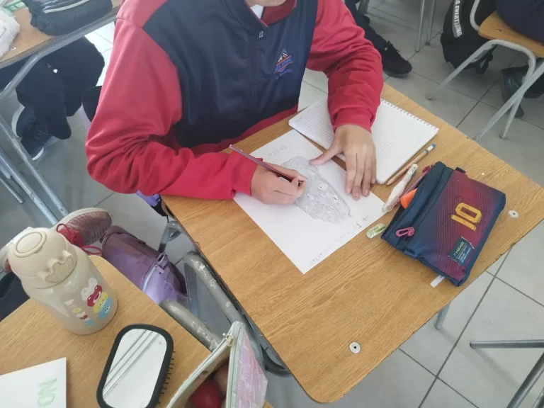 WhatsApp Image 2024-03-13 at 11.02.03